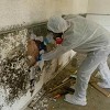 Water Mold Fire Restoration of Tampa